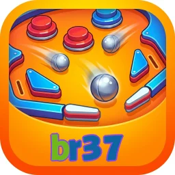 br37